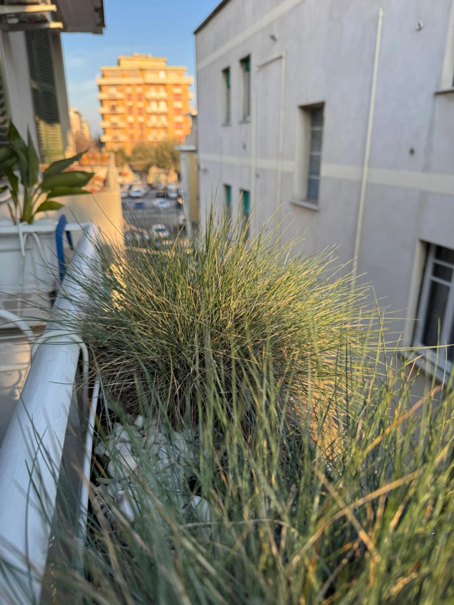 Okra Apartment Pescara Centro Екстериор снимка